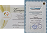 мои сертификаты и дипломы сертификаты и дипломы